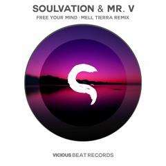 Soulvation Ft Mr V - Free Your Mind (Mell Tierra Remix)