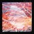 Artwork for Alex Schaufel - Lone Wolf (Ten Walls Remix)
