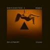 Shaed Trampoline She S Excited Remix Mp3