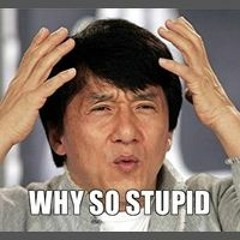 STUPID SONGS