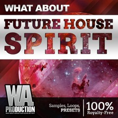 Future House Spirit | 2,2 GB Of FL Studio Templates, Sounds & Presets!