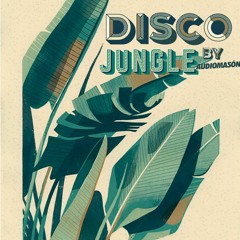 Disco Jungle - Audiomasón from TCSO @ Vintrash Bar Medellín 23/03/2019