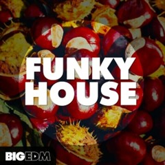 Funky Tech House   - bnlf 2019