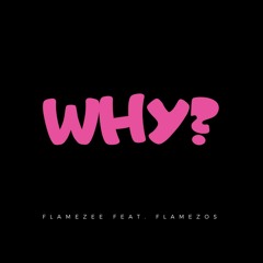 Flamezee Feat, Flamezos - Why? Prod By Westy [PREVIEW]