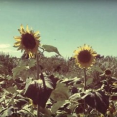 Love Is Nothing (Voice Memo)