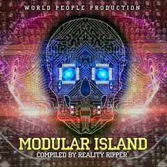 REALITY RIPPER - Modular Island  Album Presentation