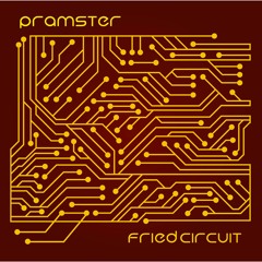 Fried Circuit