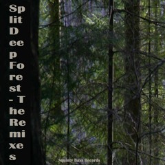 Split - Enter The Forest (VIP)