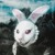 Artwork for Rabbit Hole