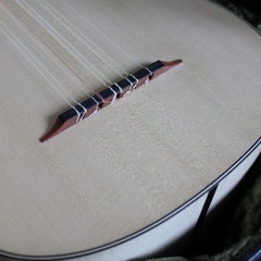 Stradivarius Rawlins 2 maple Canarios test