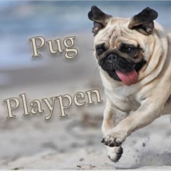 pug playpen