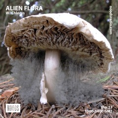 Alien Flora w/ Chlorys ─ Noods Radio (21.03.19)