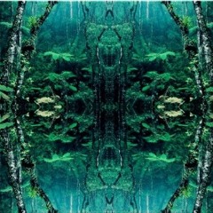 Karmal - The Forest Swamp - DJ set -
