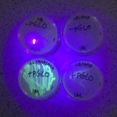 It's a Kind of Magic (feat. Jim)