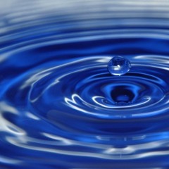 Promo Snippet for the Culture Octopuses