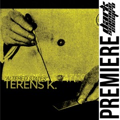 PREMIERE: Terens K. - Relativity