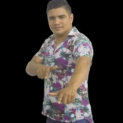 NETINHO DO PARÁ - DJ RAY PRESSÃO DE MARABÁ