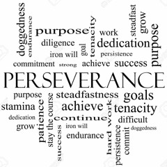 Perseverance