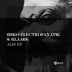 ID175 3. Sisko Electrofanatik & Klaark -  Alis