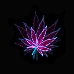 New Freestyle Rap Instrumental (Travis Scott, Drake Type Beat) - "Purple Flowers" - Trap Beats