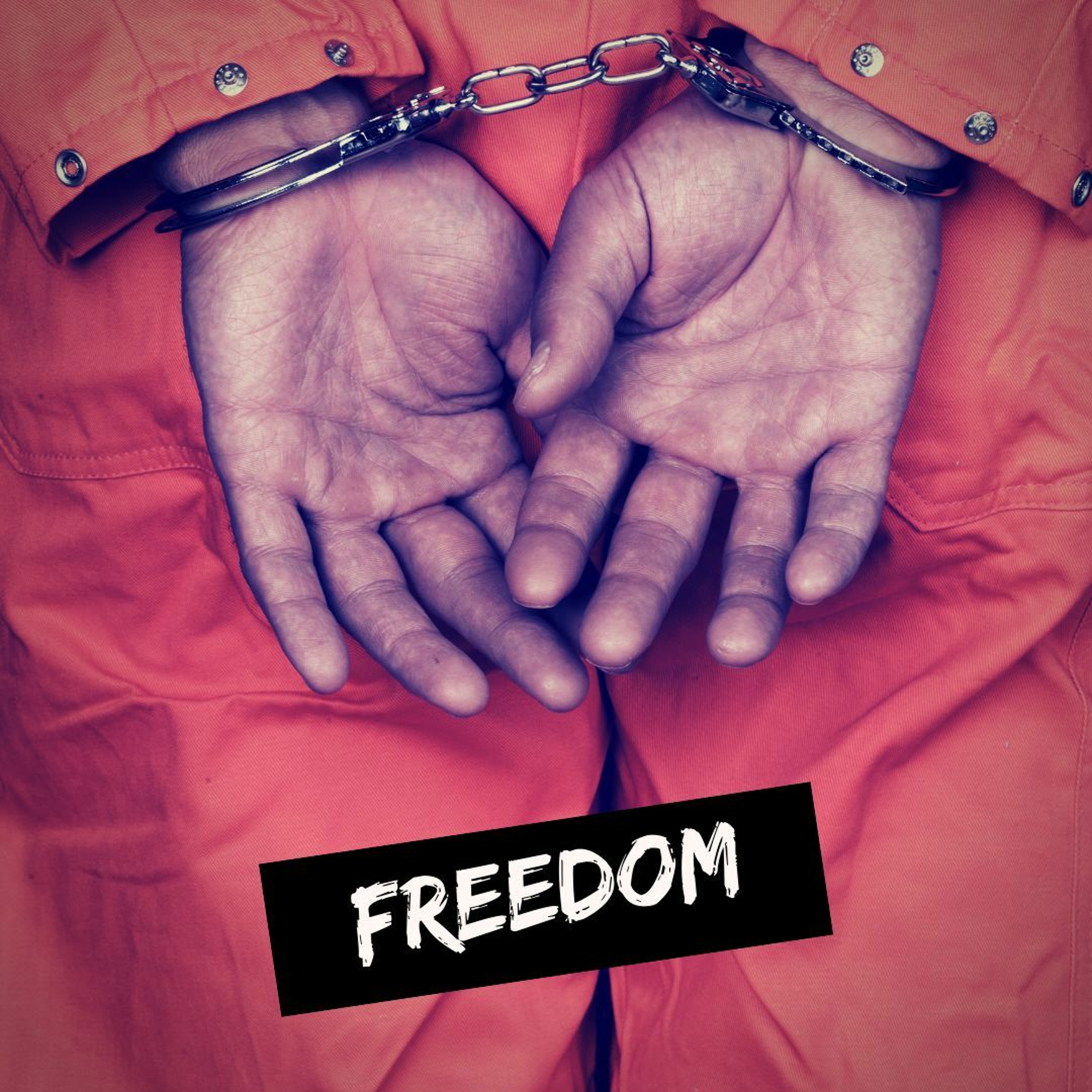 FREEDOM episode artwork