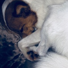 Beautiful Boy (Darling Boy) - Jack Vize