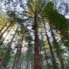 Birdboxx (prod. kevgee)