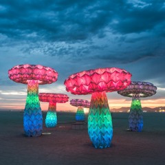 2019 Deep Discoveries Q2