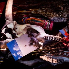 Untitled 1 - 3:26:19, 11.54 AM