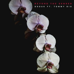 Beyond The Senses ft. Tommy Big