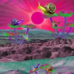 Wonky Wubs (DΛZY MIX)