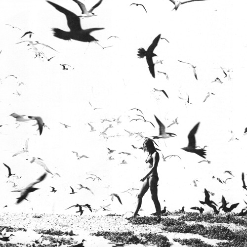 Reverberation #362