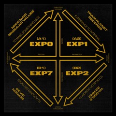 NIKKI NAIR - SINGULAR VALUES (TP009.5 PREVIEWS)