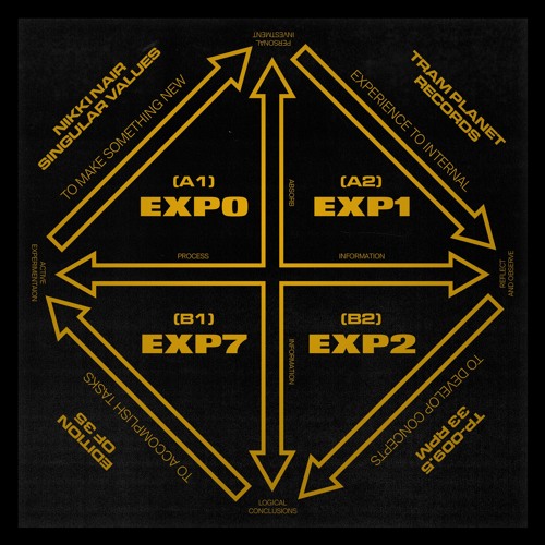 NIKKI NAIR - SINGULAR VALUES (TP009.5 PREVIEWS)