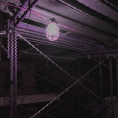 i think i zapped my brain