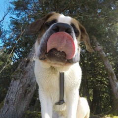 SLICK TALK (feat. huna) Prod. Cashmoneyap