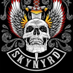 All I can do is write about it.  - Lynyrd Skynyrd cover by Drew Miller