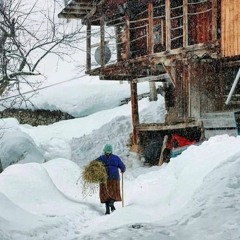 فلک از بخت ما گشته سیا(ه)پوش