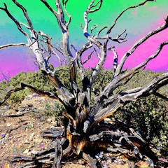 Sleep Paralysis (V1)