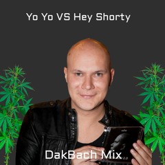 Yo Yo VS Hey Shorty (DakBach Mix)