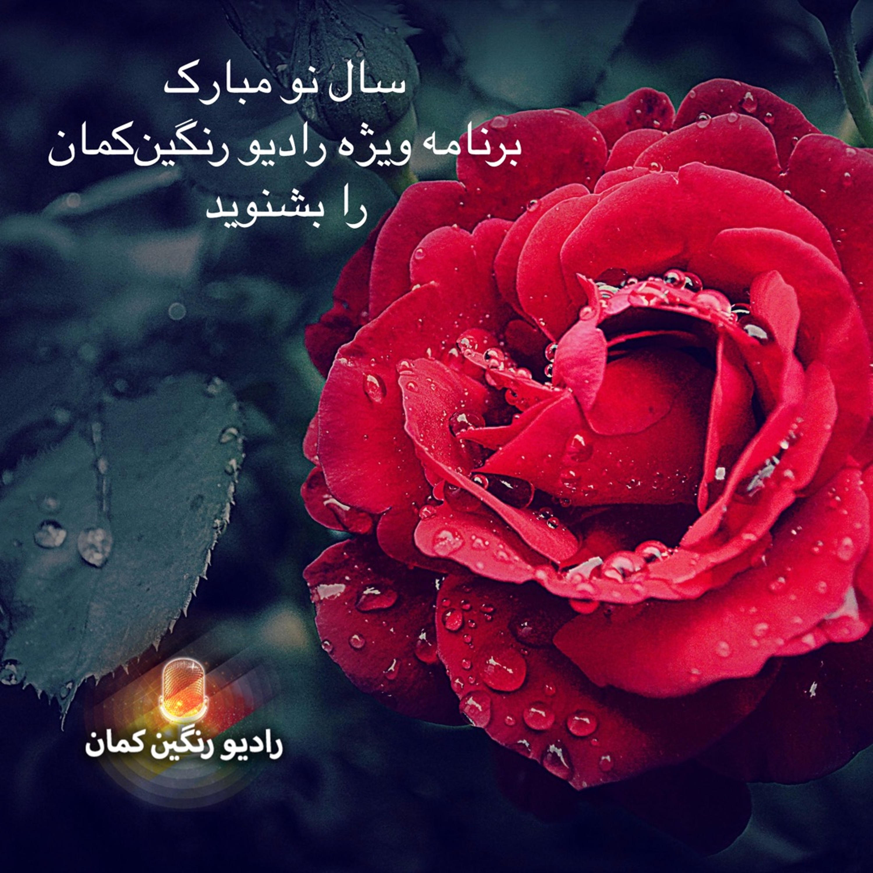 برنامه‌های روزانه رادیو رنگین‌کمان - آرشیو