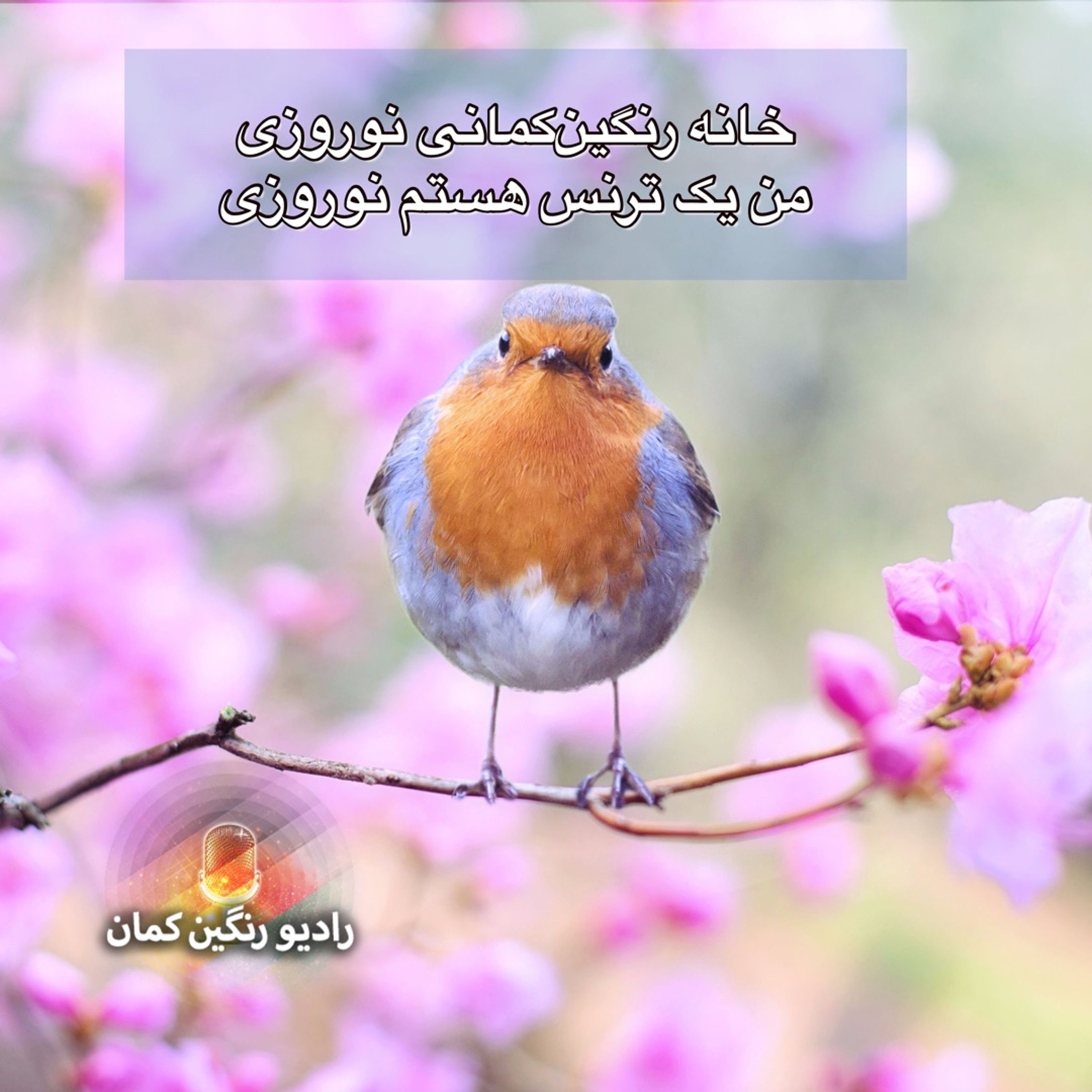 برنامه‌های روزانه رادیو رنگین‌کمان - آرشیو