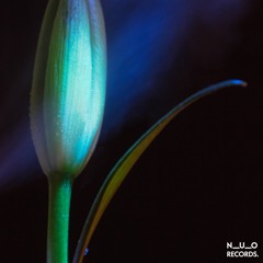 N_U_O REC Vol.5 ■Mixed by myu■