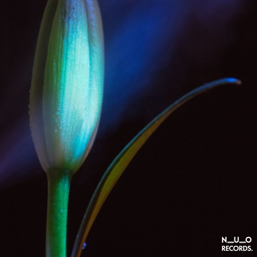N_U_O REC Vol.5 ■Mixed by myu■