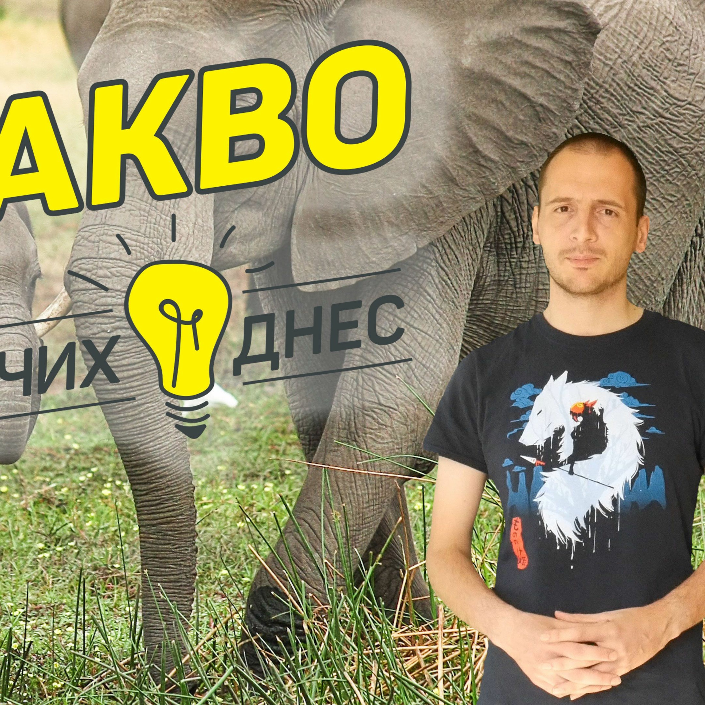 Нуждата от слонова кост - влиянието на хората върху природата episode artwork