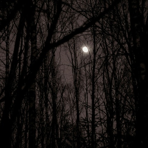 when there is no sun **slowed**