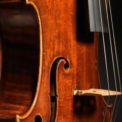 Sonata for Viola and Piano - Mvt. 1 (excerpt)