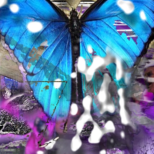 ♡ lyk_n_subscribe ♡