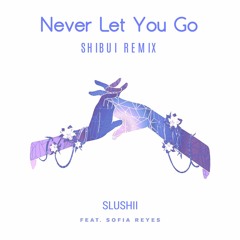 Never Let You Go (Shibui Remix)