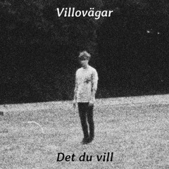 Det du vill